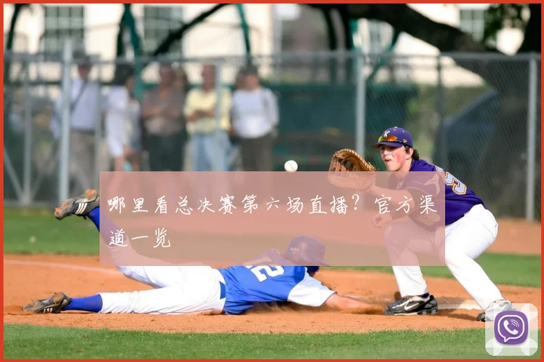 哪里看总决赛第六场直播?官方渠道一览