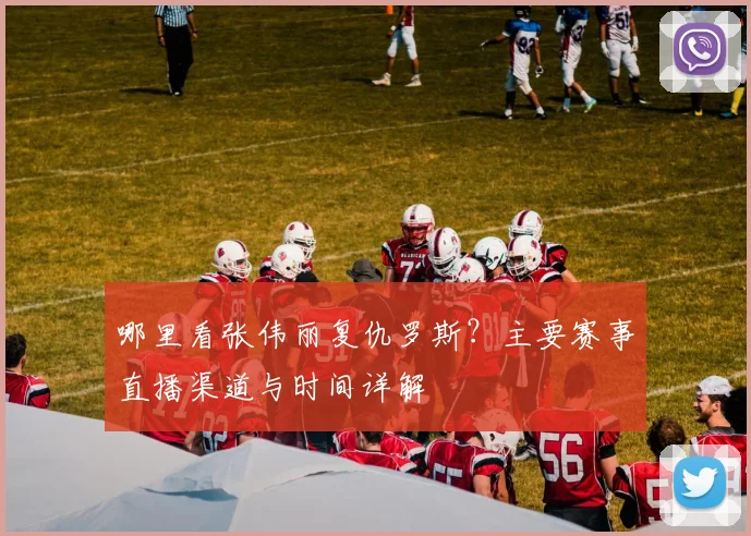 哪里看张伟丽复仇罗斯?主要赛事直播渠道与时间详解