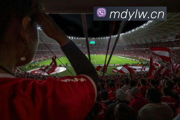 大阳城集团资料大全发展历程