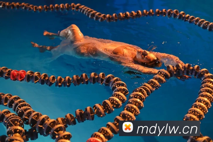 亚运会孙杨400米自由泳夺冠收获金牌并刷新个人佳绩